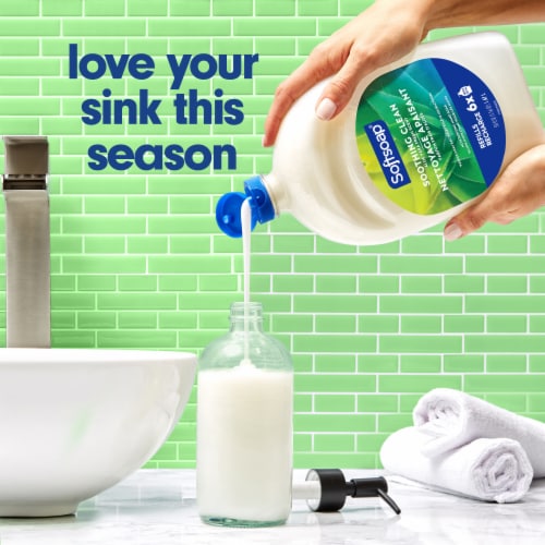 Softsoap Liquid Hand Soap Refill Soothing Clean Aloe Vera Fresh Scent Perspective: back