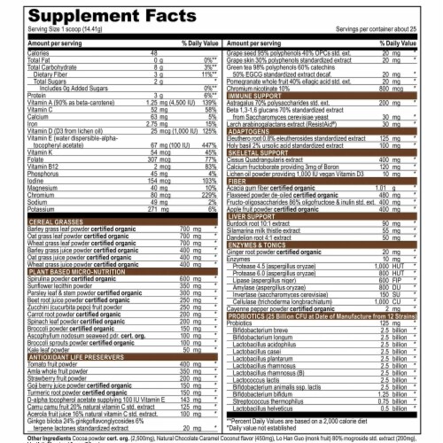 Vibrant Health Green Vibrance Chocolate Coconut Superfood Drink Powder Perspective: back