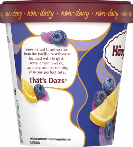 Haagen-Dazs® Non-Dairy Gluten Free Summer Blueberry & Lemon Sorbet Pint Perspective: back