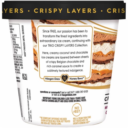 Haagen-Dazs Coconut & Chocolate Trio Crispy Layers Ice Cream Perspective: back