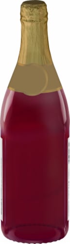 R.W. Knudsen Sparkling Cherry Juice Perspective: back