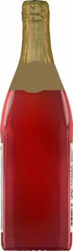 R.W. Knudsen Family® Sparkling Cranberry Juice Perspective: back