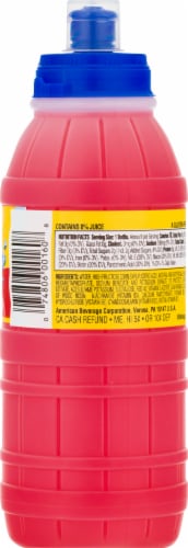 Big Hug® Fruit Barrels® Fruit Punch Perspective: back
