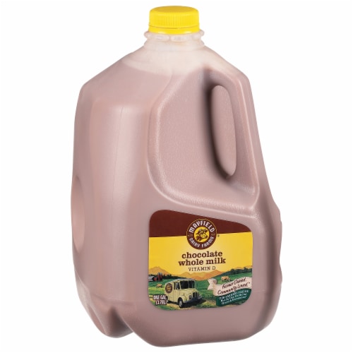 Mayfield Vitamin D Whole Chocolate Milk Perspective: back