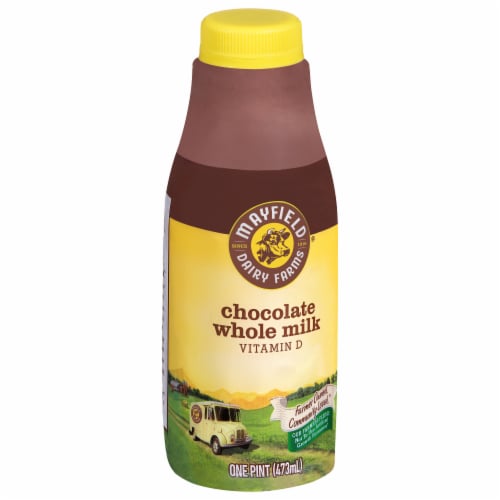 Mayfield Whole Chocolate Milk Perspective: back