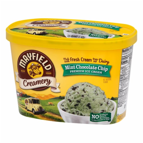 Mayfield Creamery® Mint Chocolate Chip Ice Cream Tub Perspective: back