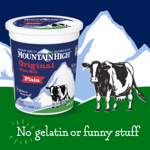 Mountain High Original Style Plain Yogurt Perspective: back