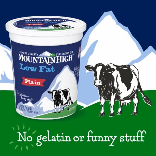 Mountain High Low Fat Plain Yogurt Perspective: back