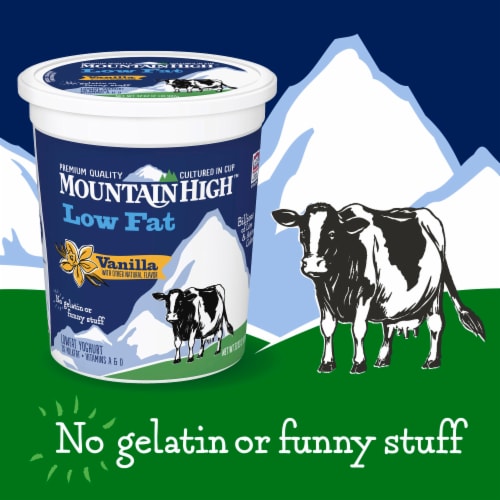 Mountain High Low Fat Vanilla Yogurt Perspective: back