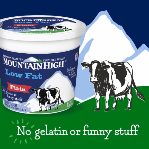 Mountain High Low Fat Plain Yogurt Perspective: back