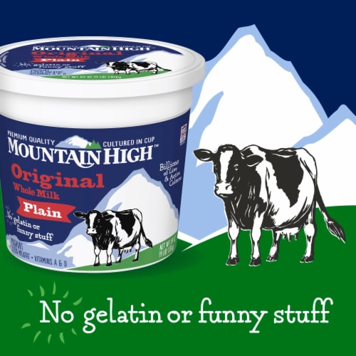 Mountain High Original Style Plain Yogurt Perspective: back