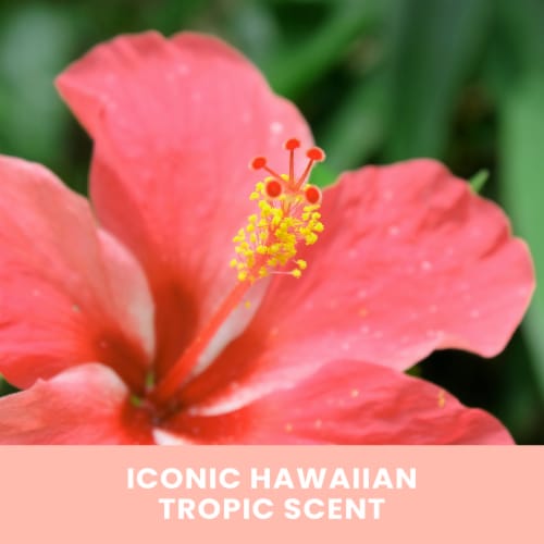 Hawaiian Tropic® Light/Medium Dark Self Tanning Foam Perspective: back