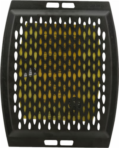 Lodge Grill Topper Cast Iron - Black Perspective: back