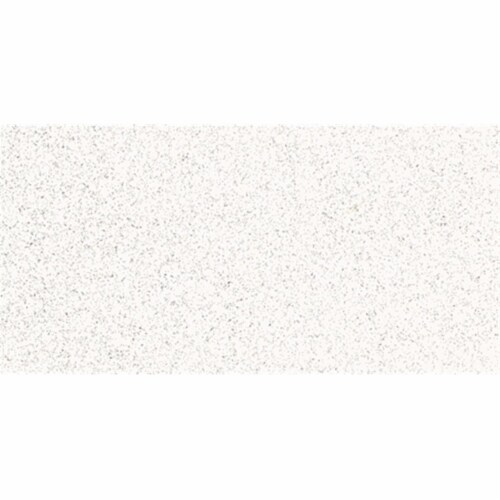 Krylon Glitter Shimmering Silver Aerosol Spray Perspective: back
