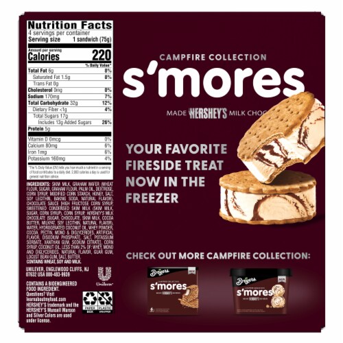 Breyers Frozen Dairy Dessert Sandwich S'mores Sandwich 16 fl oz, 16 fl oz