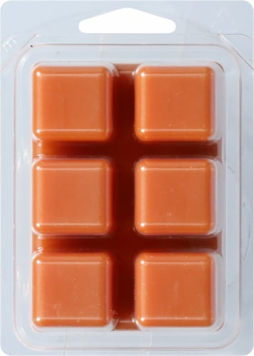 Candle-Lite® Scented Wax Cubes Cinnamon Rolls Perspective: back