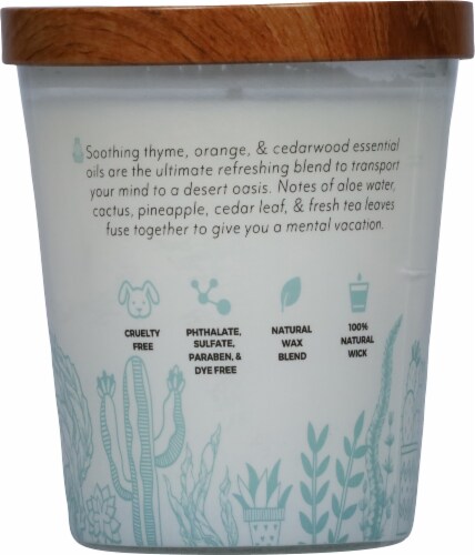 Essential Elements® Baja Cactus + Kelp Jar Candle Perspective: back