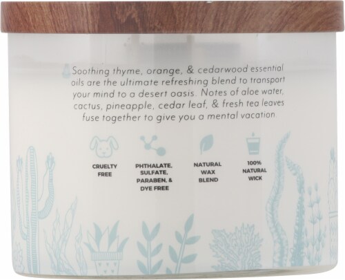 Essential Elements® Baja Cactus + Kelp Jar Candle Perspective: back