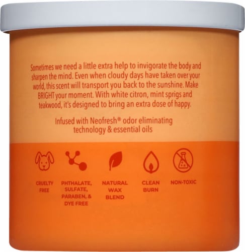Candle-lite® Pure 2-Wick Jar Candle Bright Perspective: back