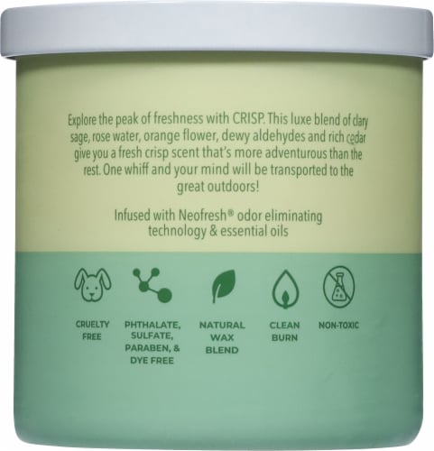 Candle-lite® Pure 2-Wick Jar Candle Crisp Perspective: back
