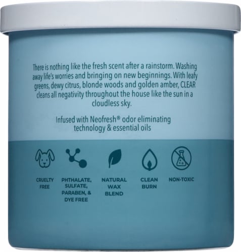 Candle-lite Odor Eliminating Clear Scented 2-Wick Candle Perspective: back