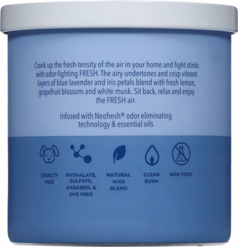 Candle-lite Odor Eliminating Fresh Scented 2-Wick Candle Perspective: back