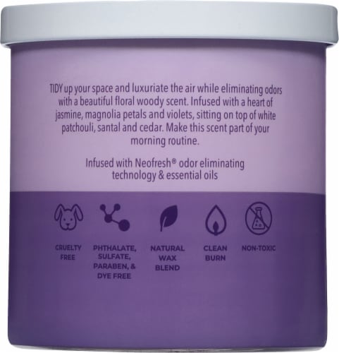 Candle-lite Odor Eliminating Pure Scented 2-Wick Candle Perspective: back