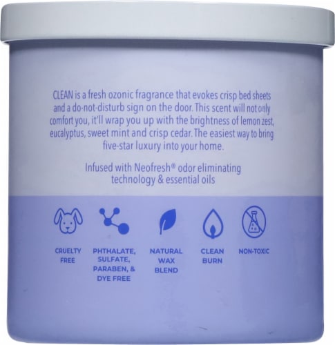 Candle-lite Odor Eliminating Clean Scented 2-Wick Candle Perspective: back