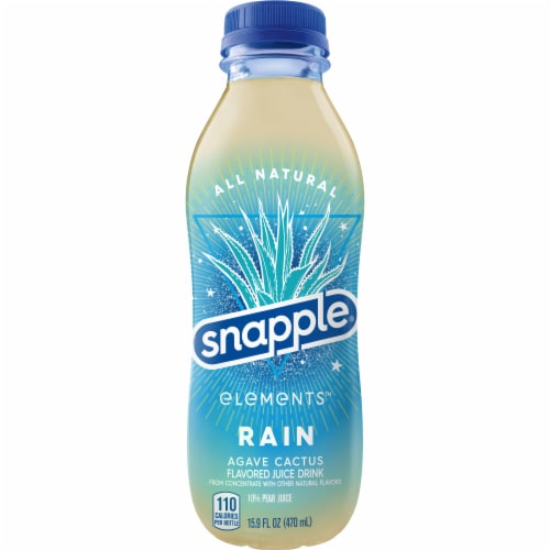 Snapple® Elements™ Rain Agave Cactus Flavored Juice Perspective: back