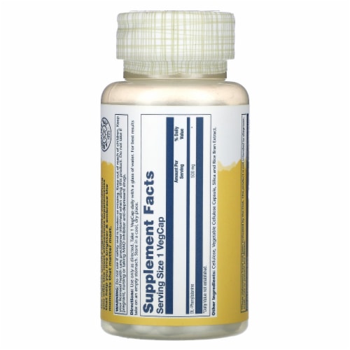 Solaray DLPA DL-Phenylalanine 500 mg - 60 VegCaps Perspective: back