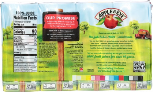 Apple & Eve 100% Juice Fruit Punch Juice Boxes Perspective: back