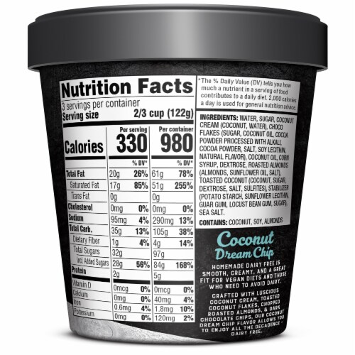Homemade Brand Dairy Free Coconut Dream Chip Frozen Dessert Pint Perspective: back