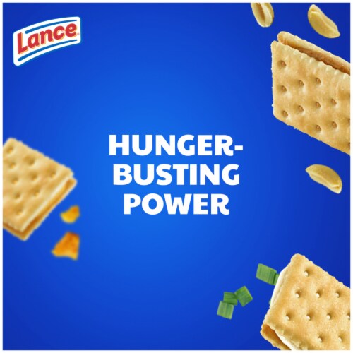 Lance® Captain's Wafers® Sandwich Crackers Variety Pack Perspective: back
