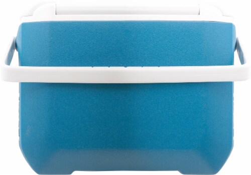 Chiller™ 16-Quart Portable Cooler