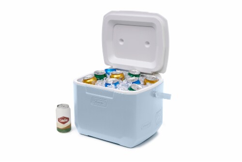 Coleman Chiller Cooler - Fog Perspective: back
