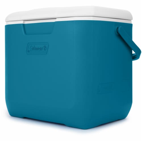 Coleman® Chiller 30 Qt. Portable Cooler Perspective: back