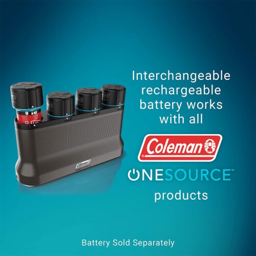 BATTERY CHARGER ONE SOURCE 2SLOT C004 Perspective: back
