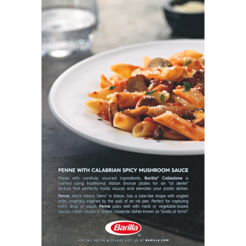 Barilla® Collezione Penne Pasta Perspective: back