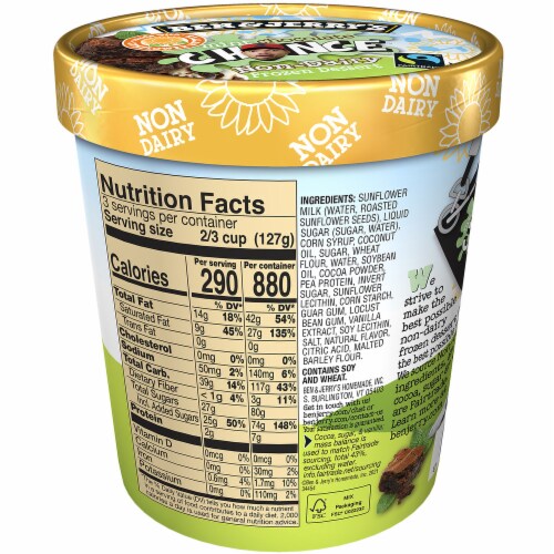 Ben & Jerry's Mint Chocolate Chance Ice Cream Perspective: back