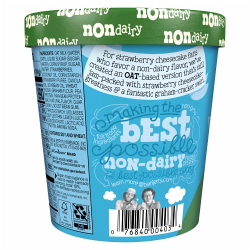 Ben & Jerry's® Dairy Free Strawberry Cheezecake Ice Cream Pint Perspective: back