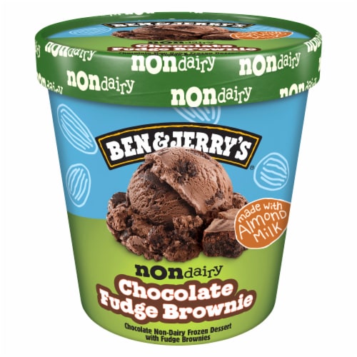 Ben & Jerry's Non-Dairy Chocolate Fudge Brownie Frozen Dessert Pint Perspective: back