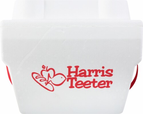 Harris Teeter Foam Party Cooler Perspective: back