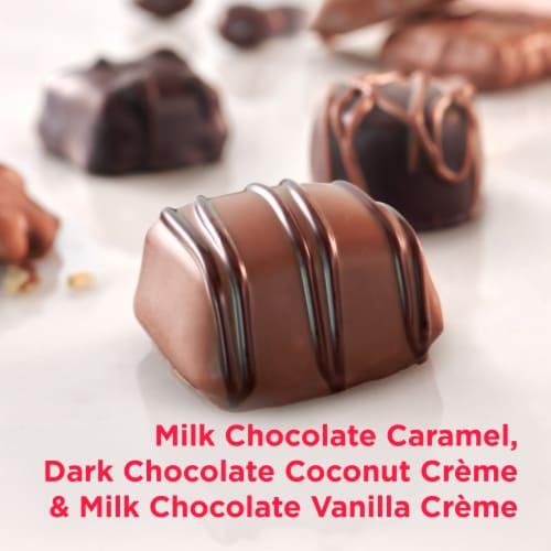 RUSSELL STOVER Valentine's Day Happy Heart Day Assorted Milk & Dark Chocolate Candy Gift Box Perspective: back