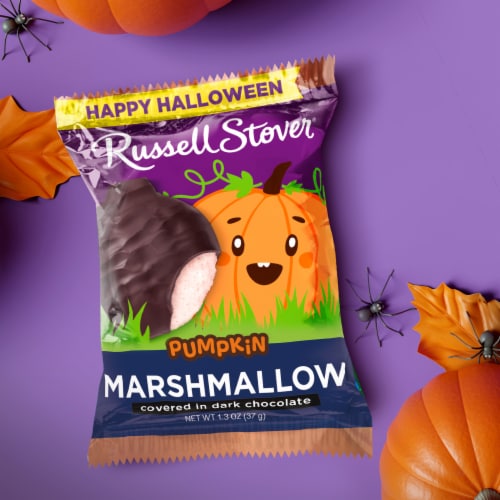 Russell Stover® Dark Chocolate Marshmallow Pumpkin Halloween Candy, 1.3
