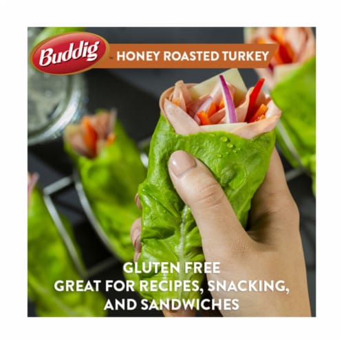 Buddig™ Original Honey Roasted Turkey Perspective: back