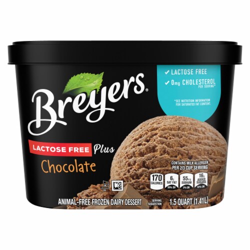 Breyers Chocolate Lactose Free Light Ice Cream Tub Perspective: back
