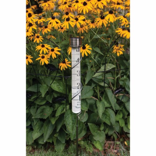 Taylor Heritage Collection 5 In. Glass Rain Gauge 484BZN Perspective: back