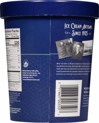 Fatboy Madagascar Vanilla Bean Ice Cream Tub Perspective: back