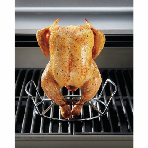 Poultry Roaster Perspective: back