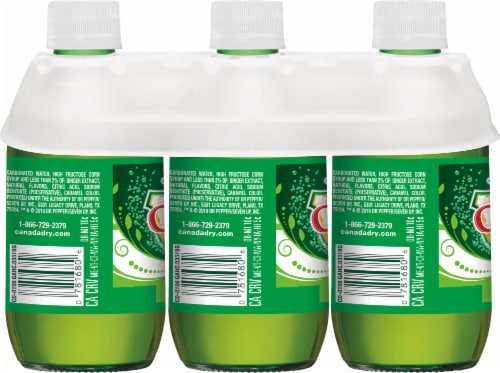 Canada Dry Ginger Ale Soda Perspective: back